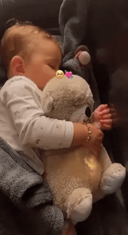 Breathing Teddy For Your Loved Ones